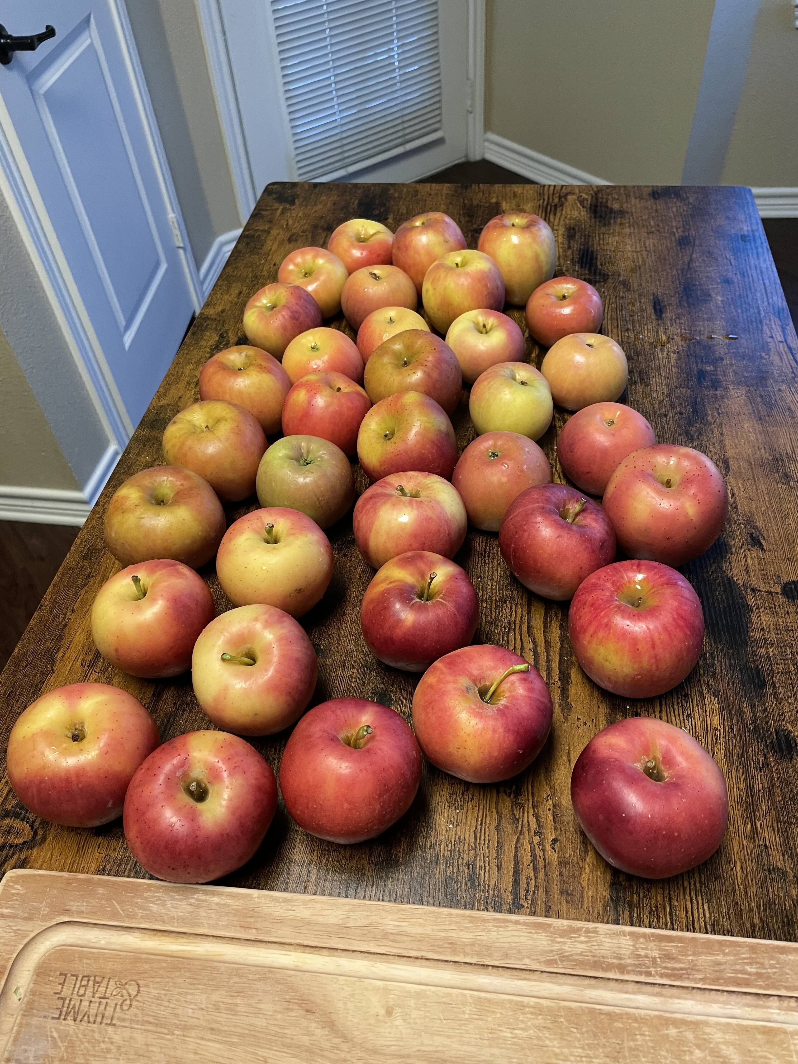 The apples in question